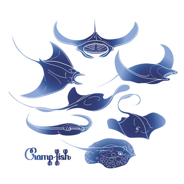 stingray