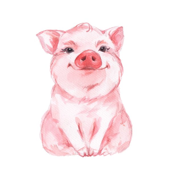 猪画画
