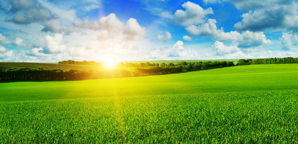 sunshine