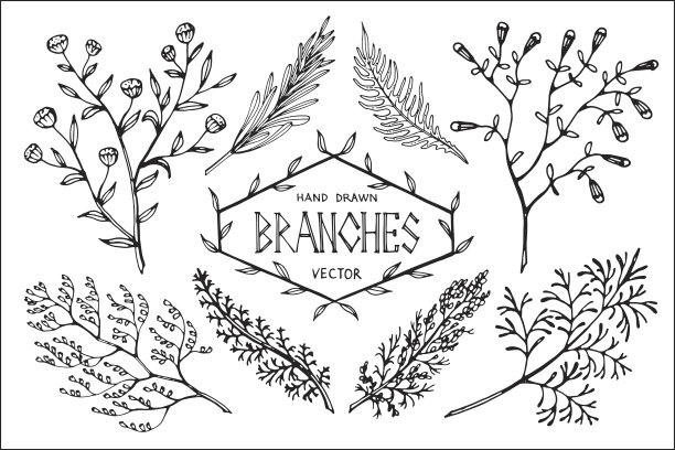 herbs