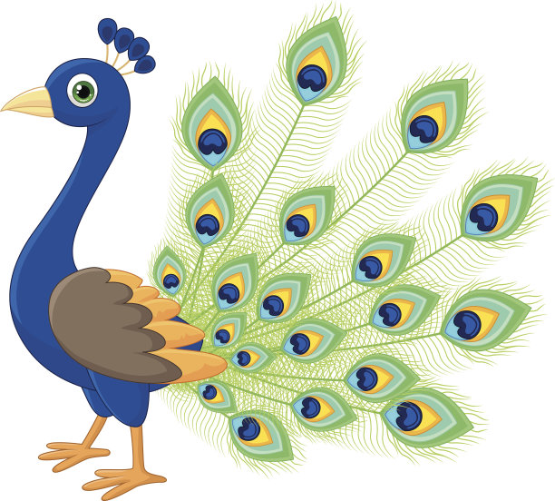 peacock