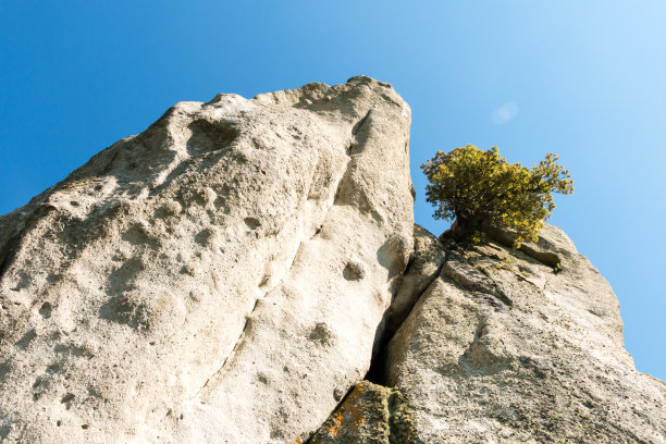 monolith