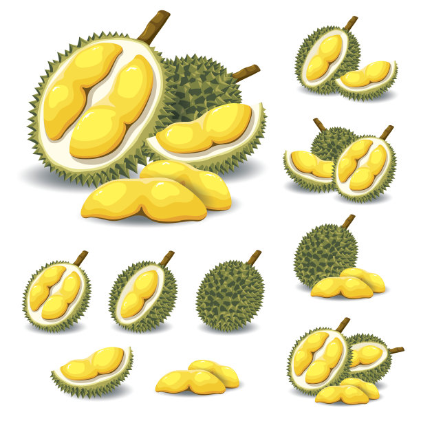 durian