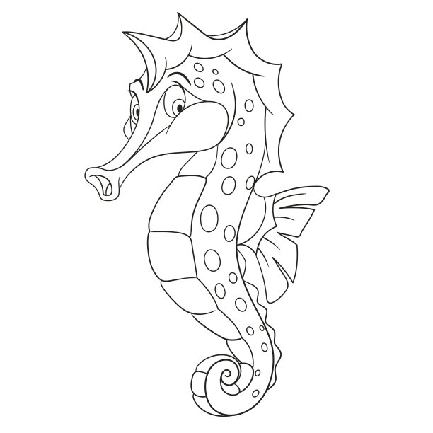 海马