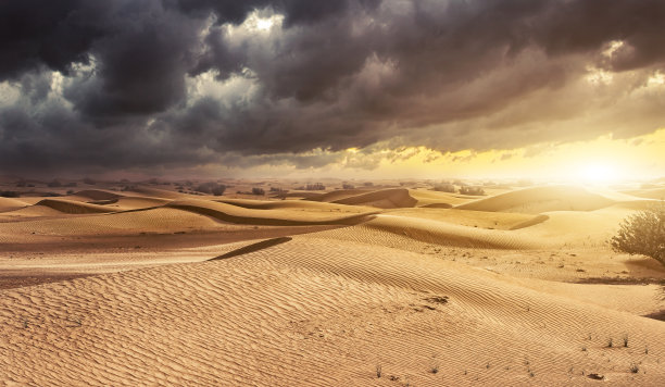 desert