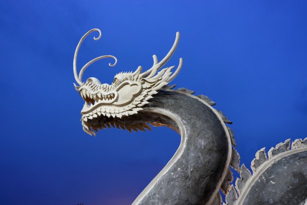 dragon