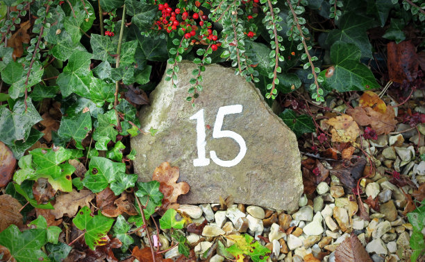 15