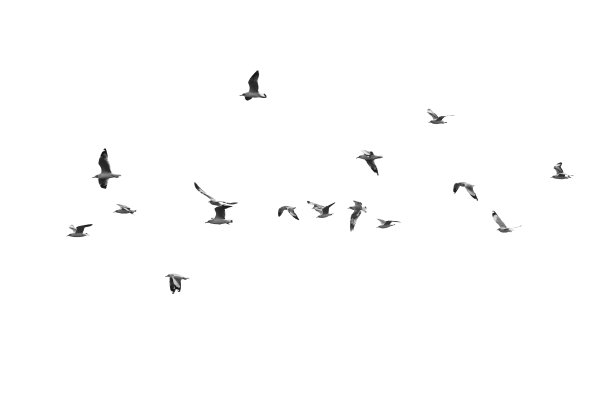 卤味店挂画设计