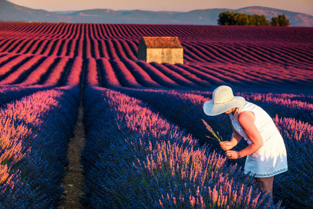 provence