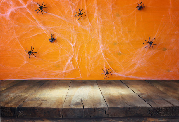 araneae