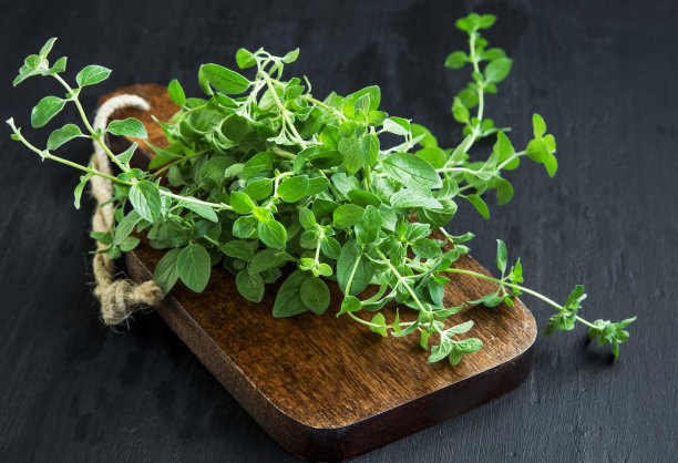 oregano