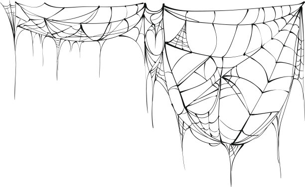 spider