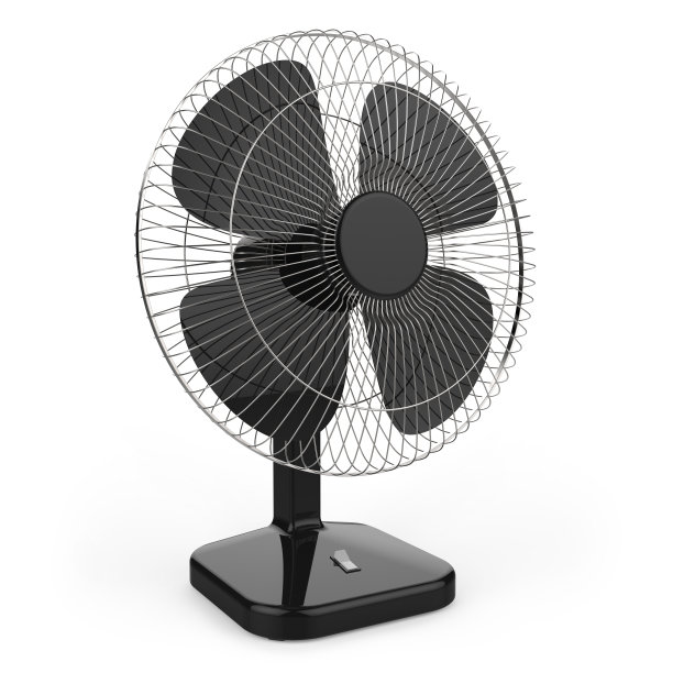 fan