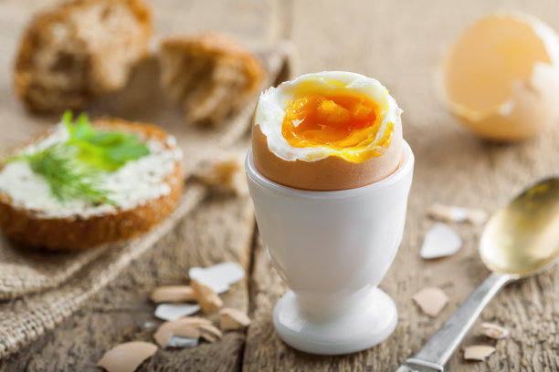 egg