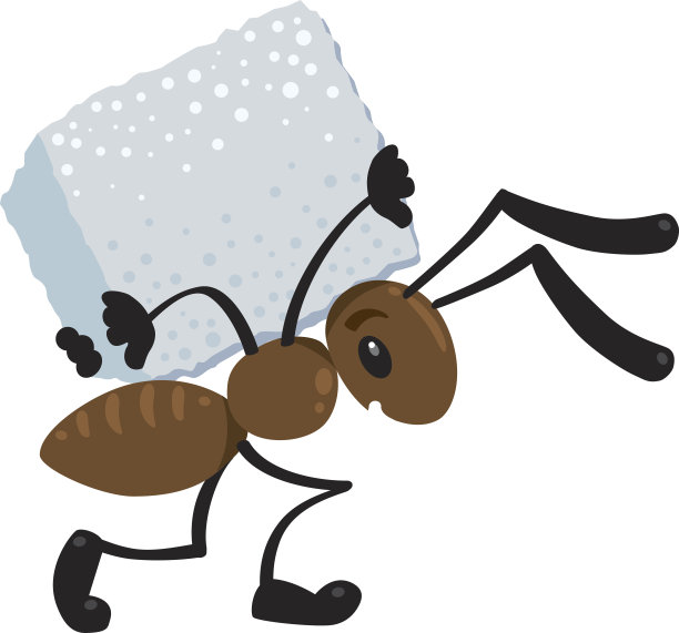 ant