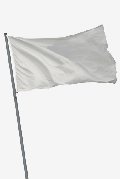 旗帜标志