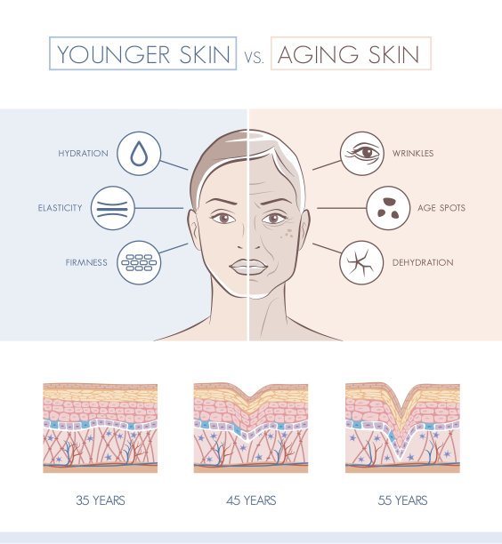 skin