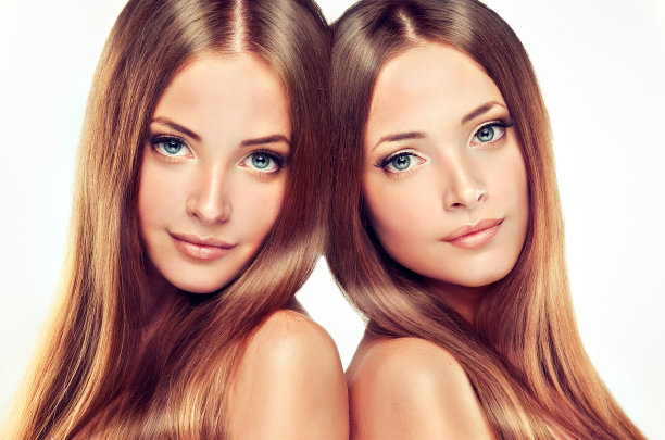 gemini
