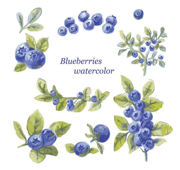 blueberries