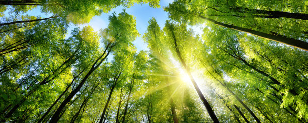 sunshine