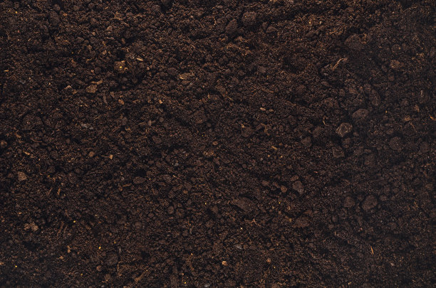 dirt