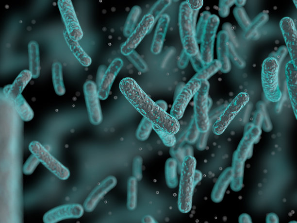 bacteria