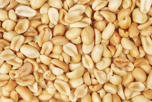 earthnut