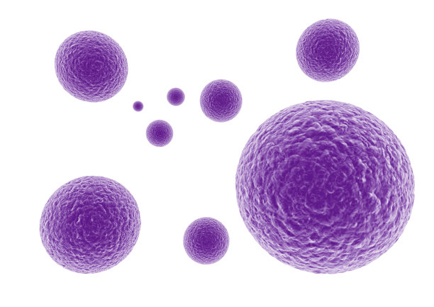 bacteria