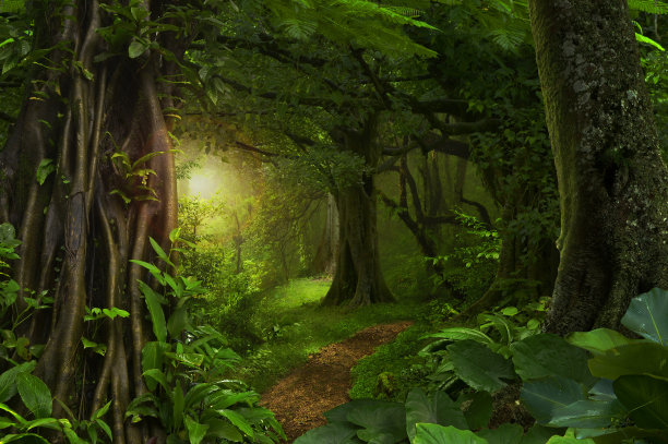 jungle