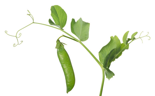 peas