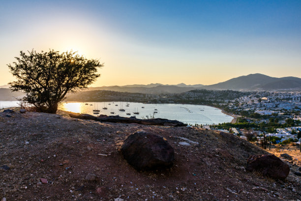 海滨风电景观