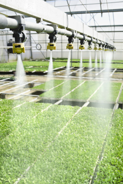 greenhouse