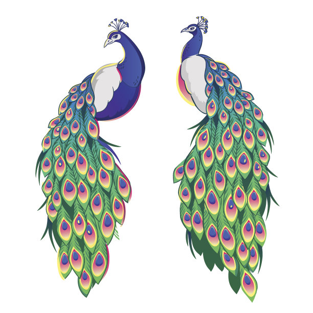 peacock