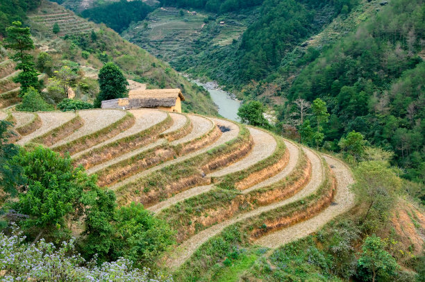 小区绿化管理制度