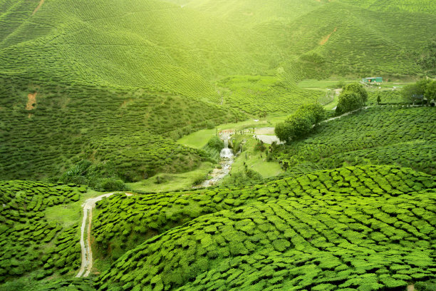 srilanka