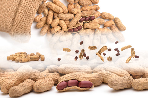 earthnut