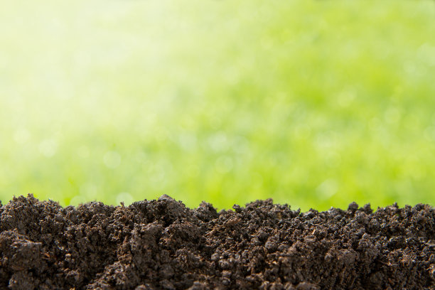 dirt