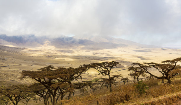 ngorongoro