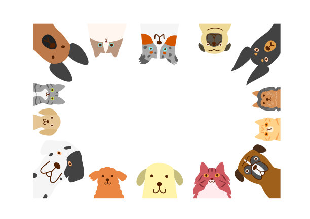 宠物猫宠物狗宠物店