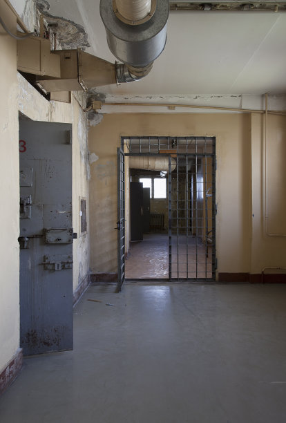 cells