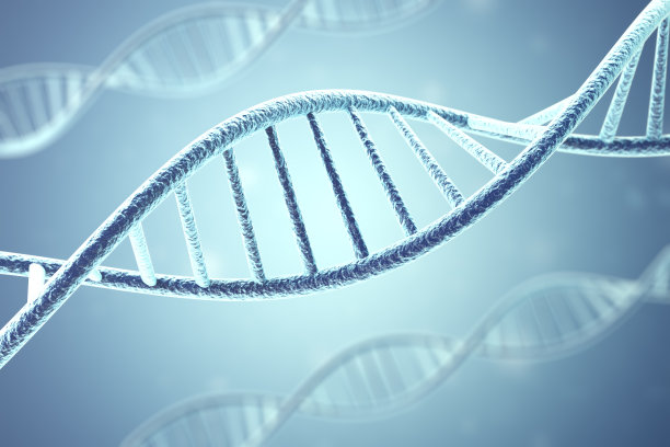 gene