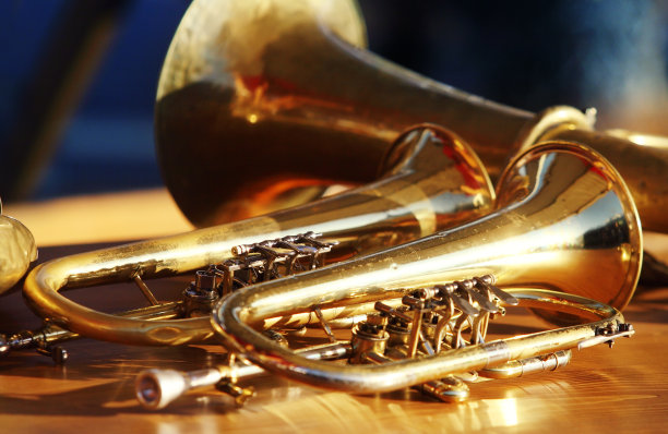 horns