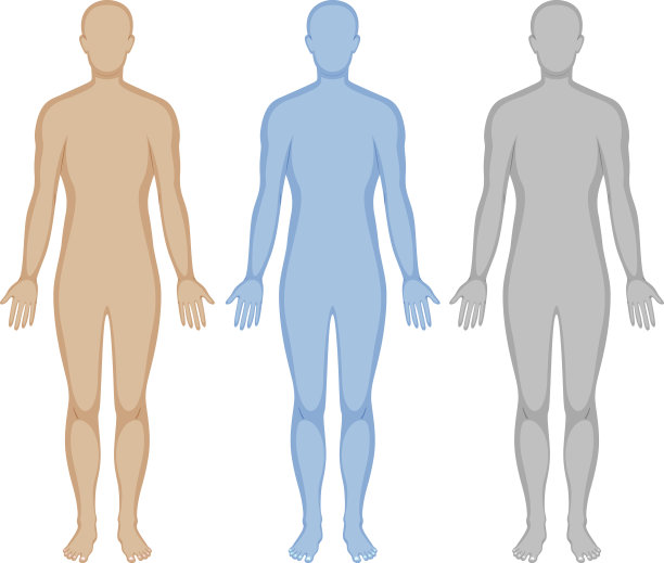 body