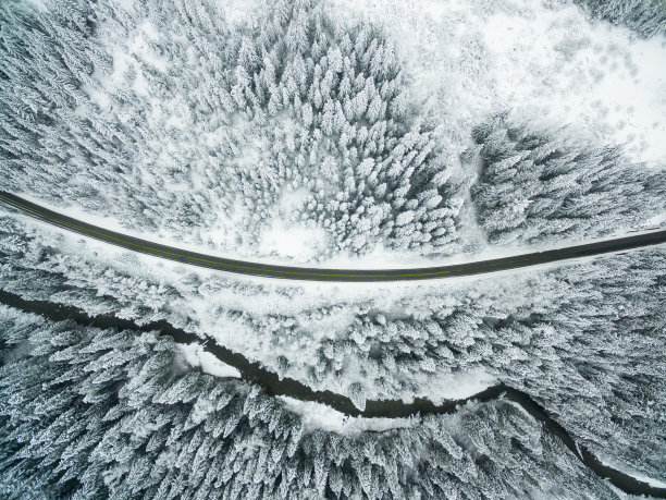 森林公路雪景