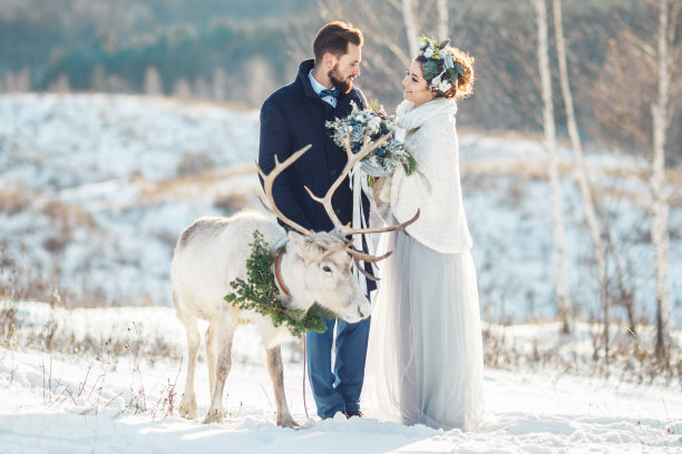 冰雪婚礼