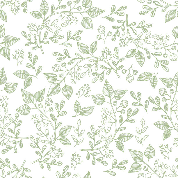 herbs