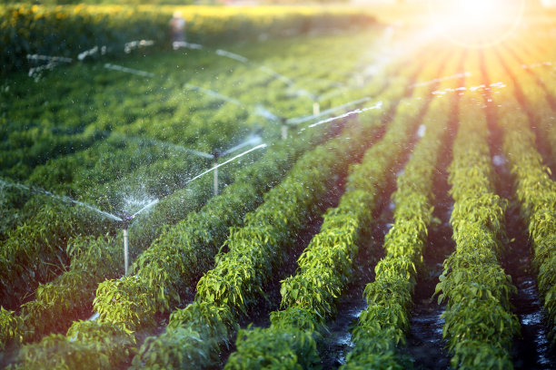 agricultural