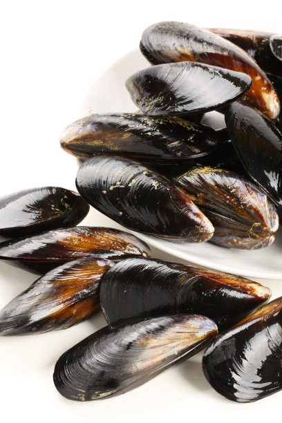 mussels