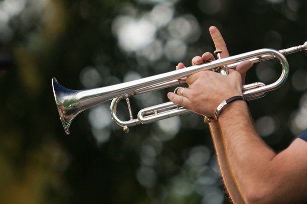 horns