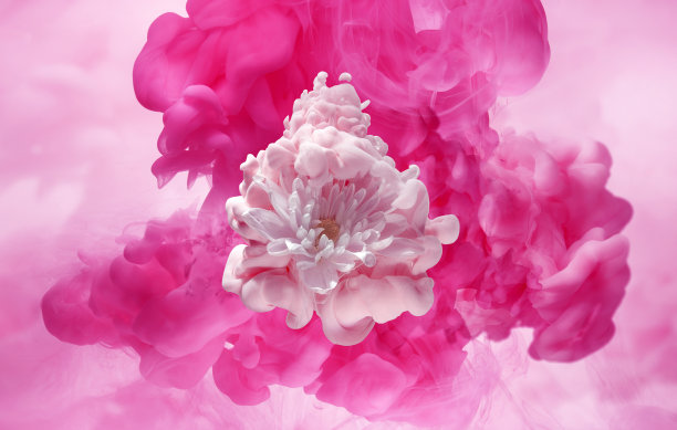 damask
